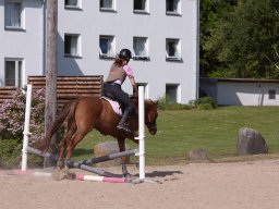 IMG_5579_web
